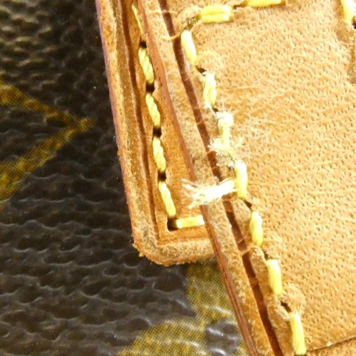 Louis Vuitton Monogram Vavin PM Bag — view 6