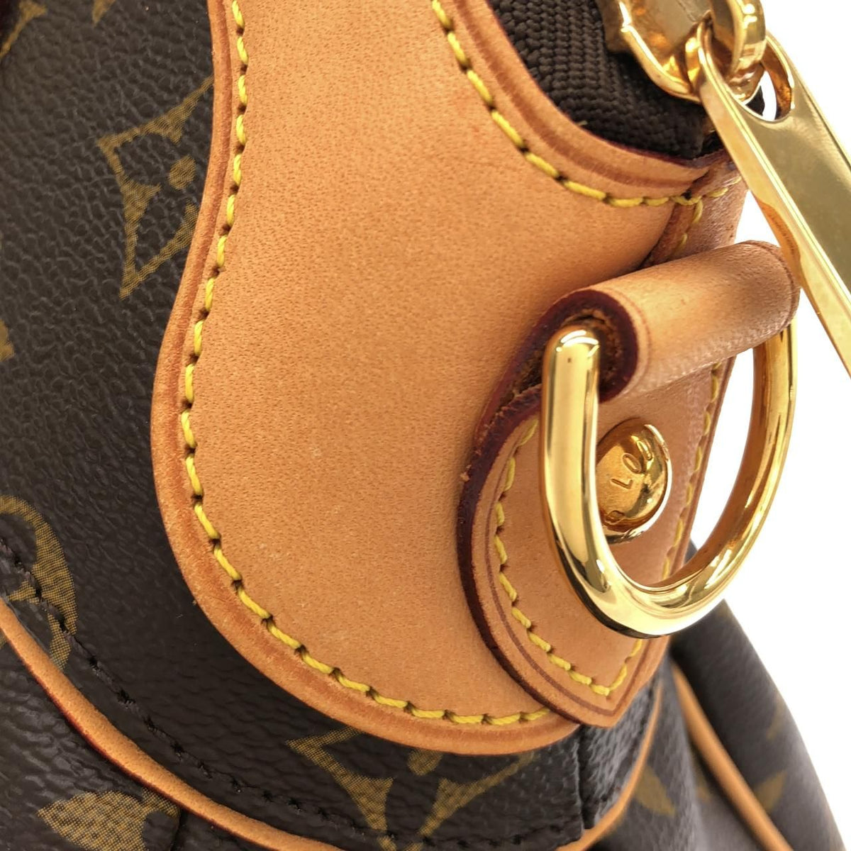 Louis Vuitton Monogram Trevi PM Bag — view 6