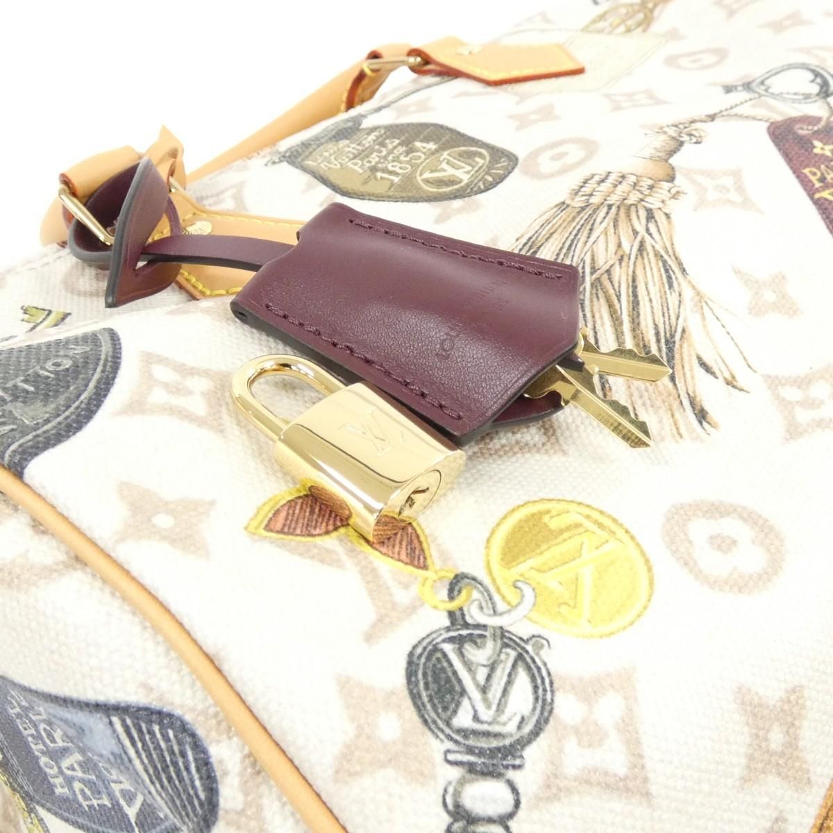 Louis Vuitton Monogram Dune Speedy Soft 30 Bag — view 4