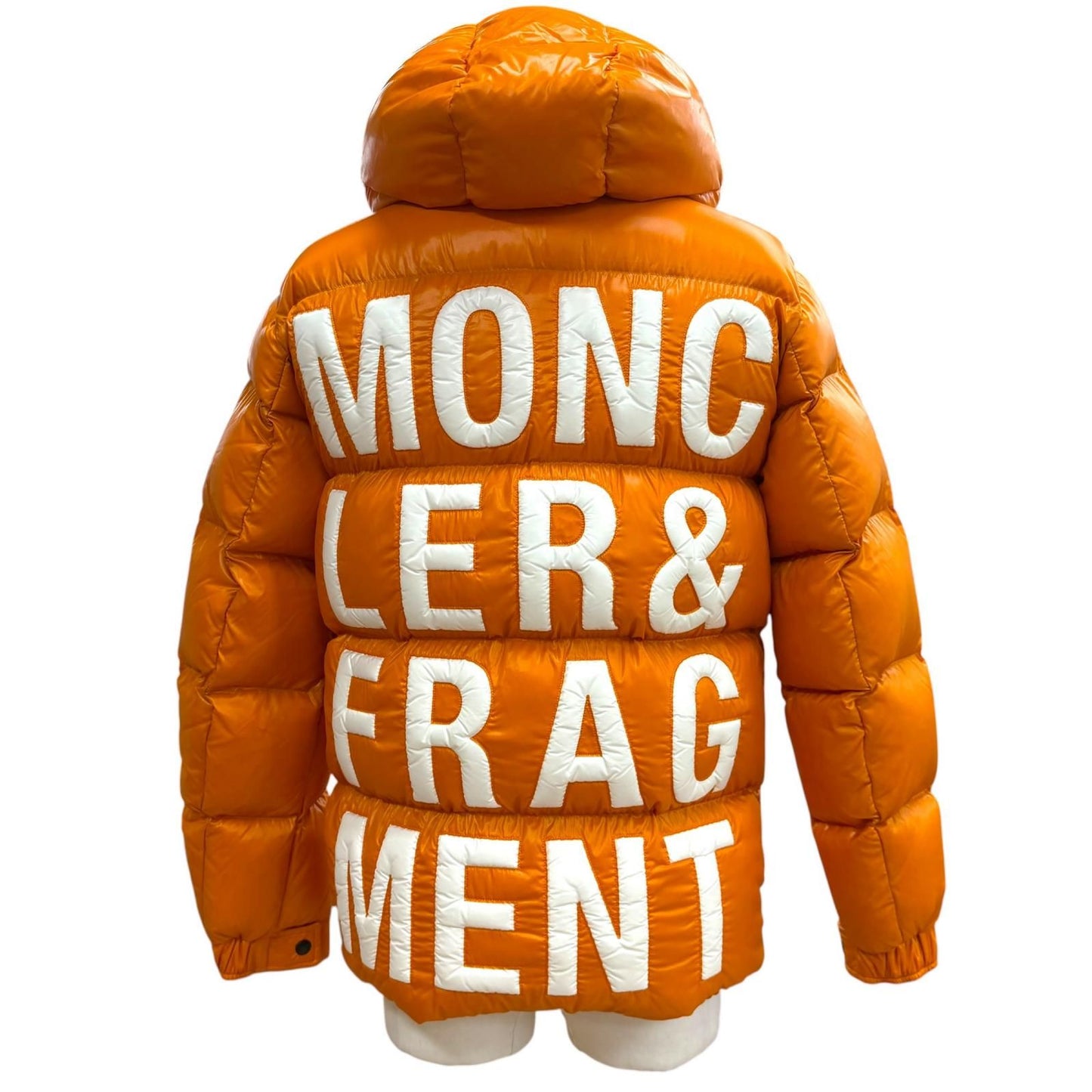 Moncler Genius 7 Fragment Hiroshi Fujiwara Hanriot Back Logo Zipup Down Jacket — view 4