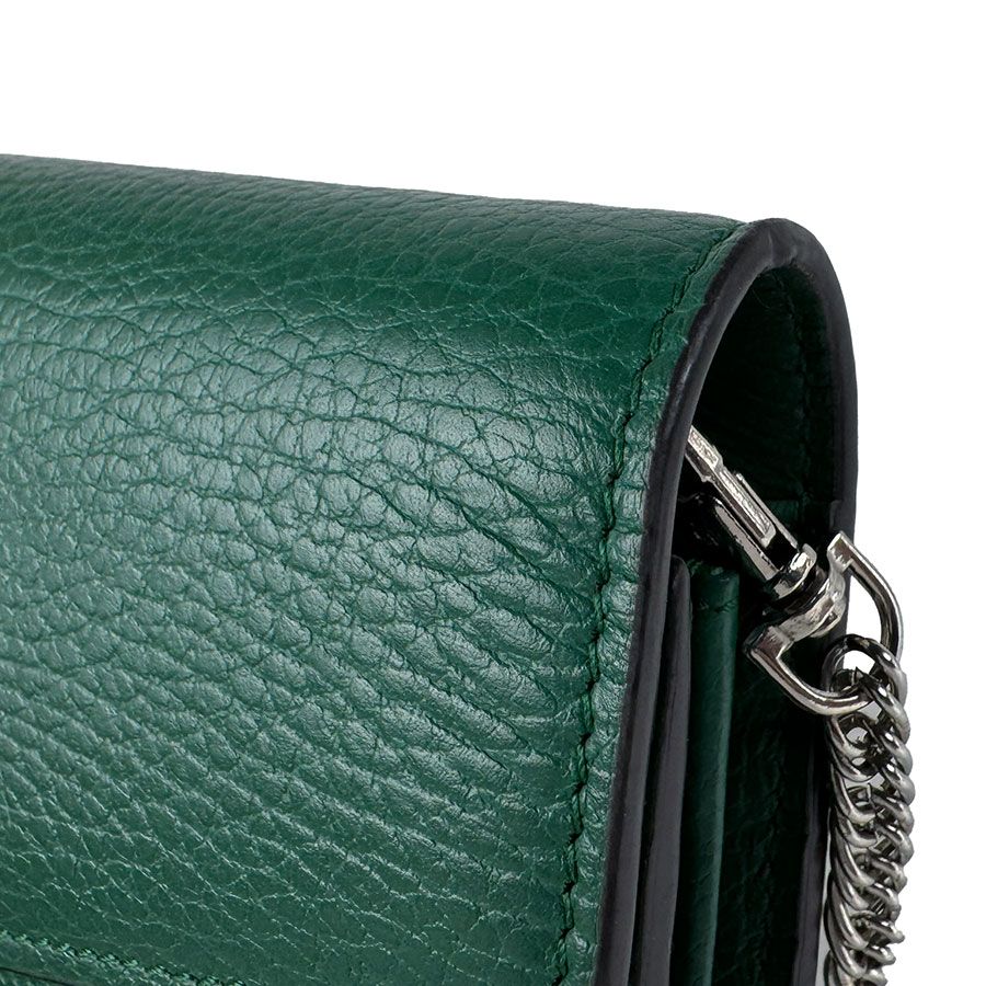 Gucci Chain Wallet Dionysus Shoulder Bag — view 6