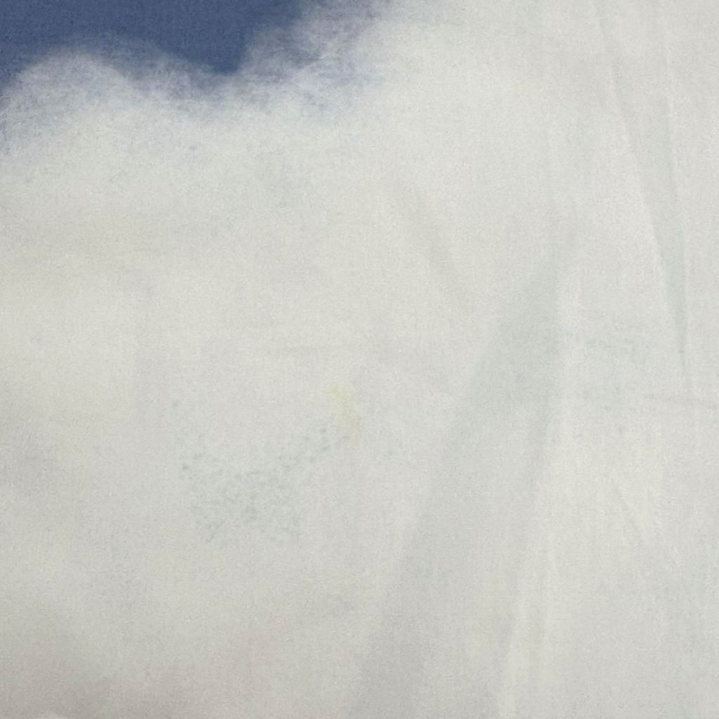 Louis Vuitton LV Cloud Print Long Sleeve Shirt Cotton White Blue Regular M — view 8