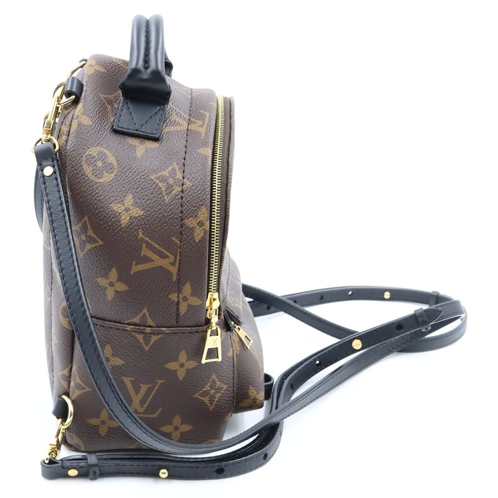 Louis Vuitton Monogram Palm Springs Mini Backpack Mini Bag Brown Black Leather — view 3