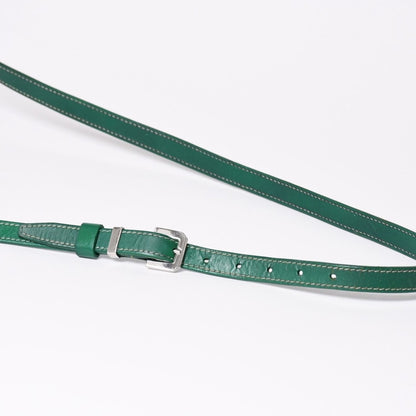 Goyard Cup Vert PM Shoulder Bag Green Leather Silver — view 8