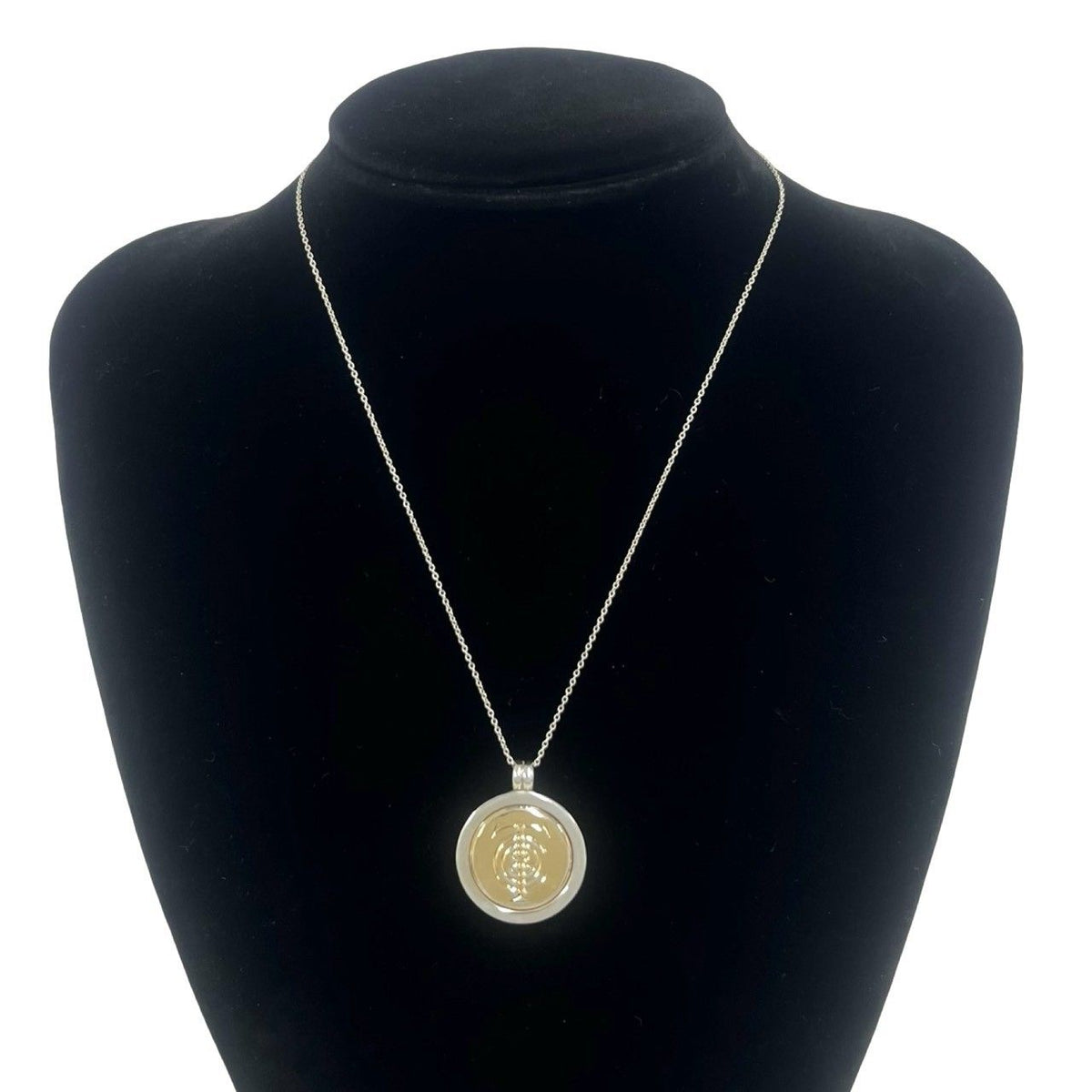 Tiffany & Co Coin Necklace Silver Yellow Gold — view 2