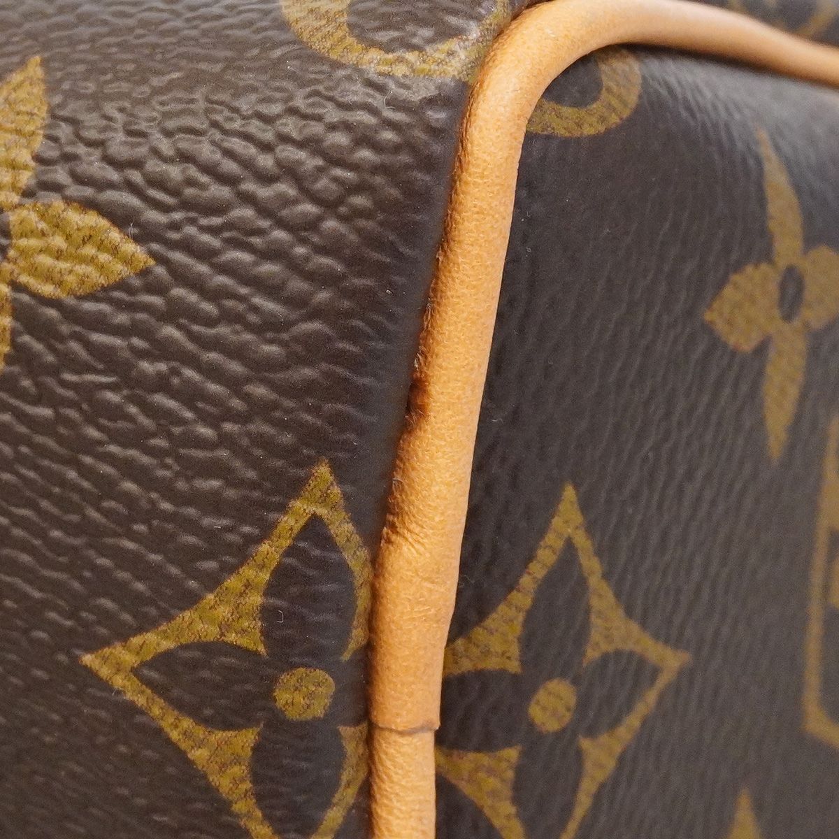 Louis Vuitton Handbag Monogram Vivienne Nano Speedy Brown 2-Way Bag — view 6