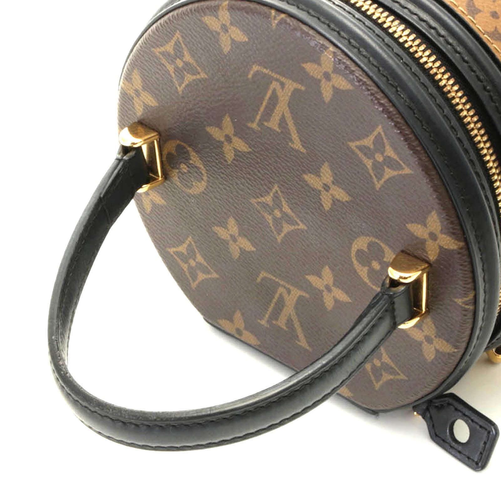 Louis Vuitton Cannes Monogram Reverse Shoulder Bag Brown — view 4