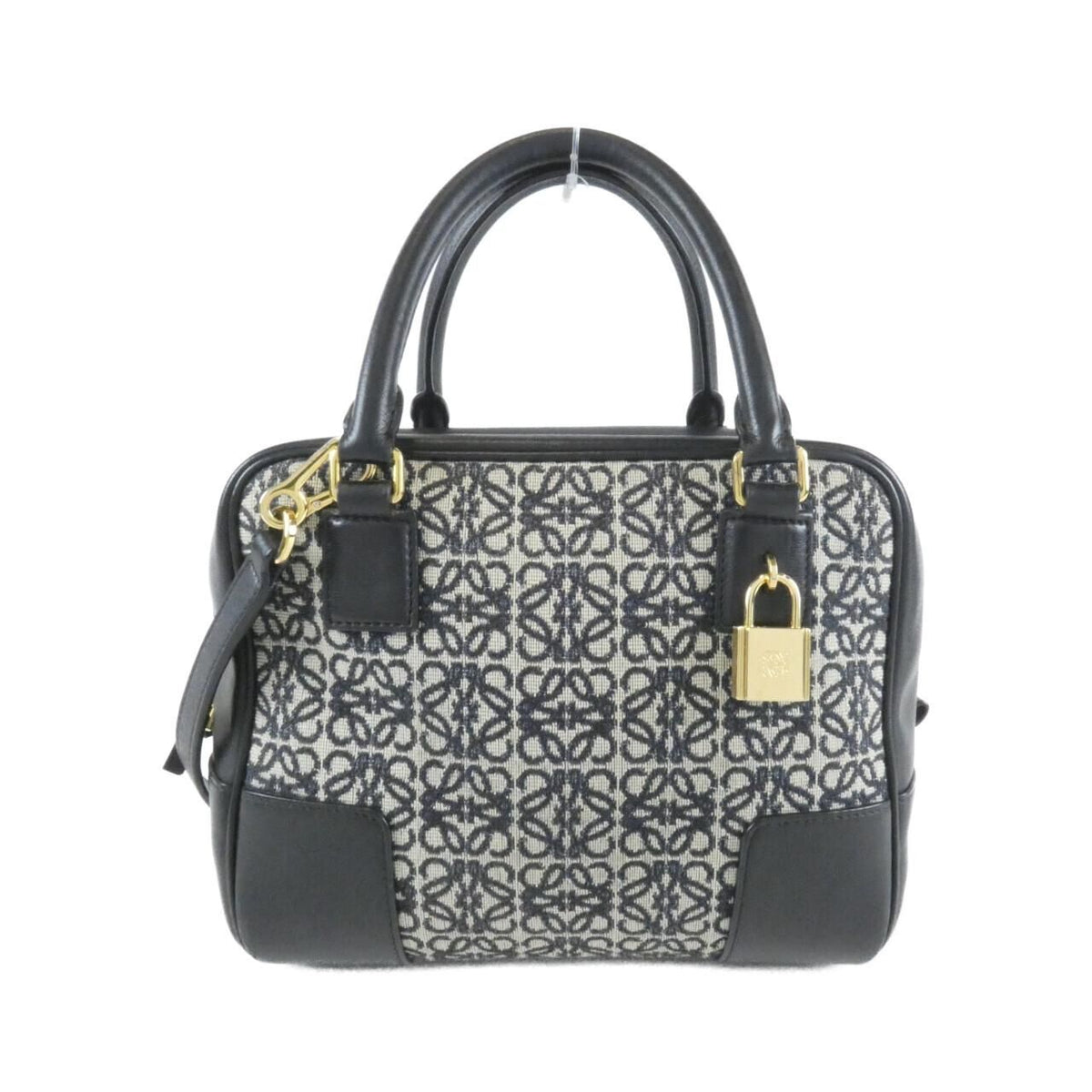 Loewe Amazona 19 Bag