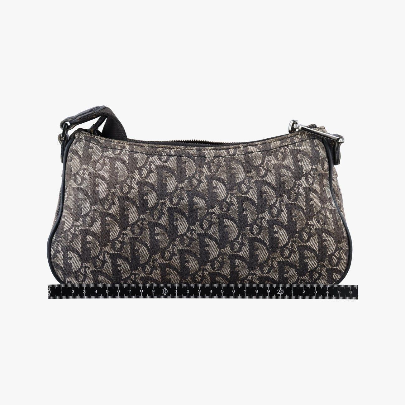 Dior Trotter Double Saddle Gray Brown Jacquard Shoulder Bag — view 2