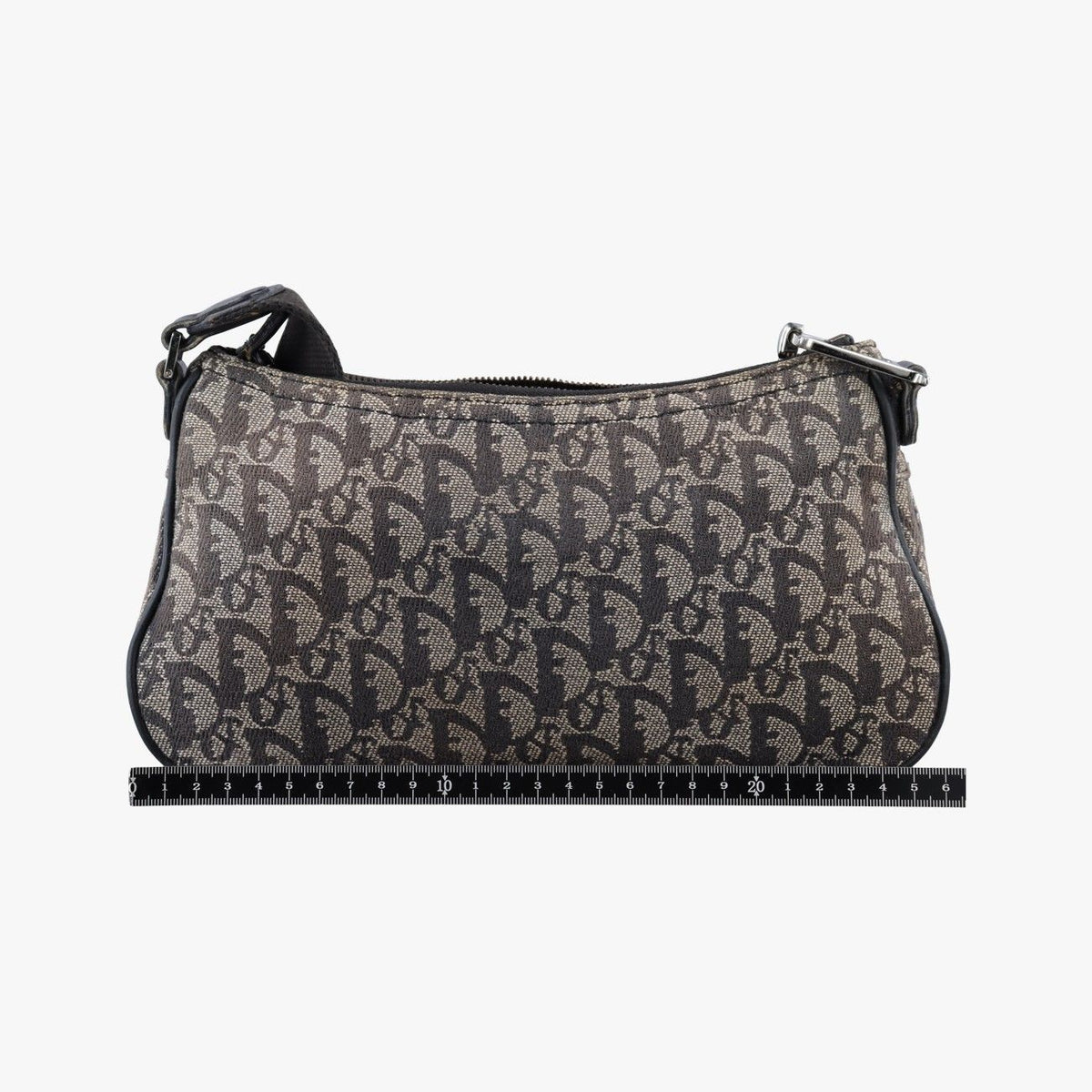 Dior Trotter Double Saddle Gray Brown Jacquard Shoulder Bag — view 2