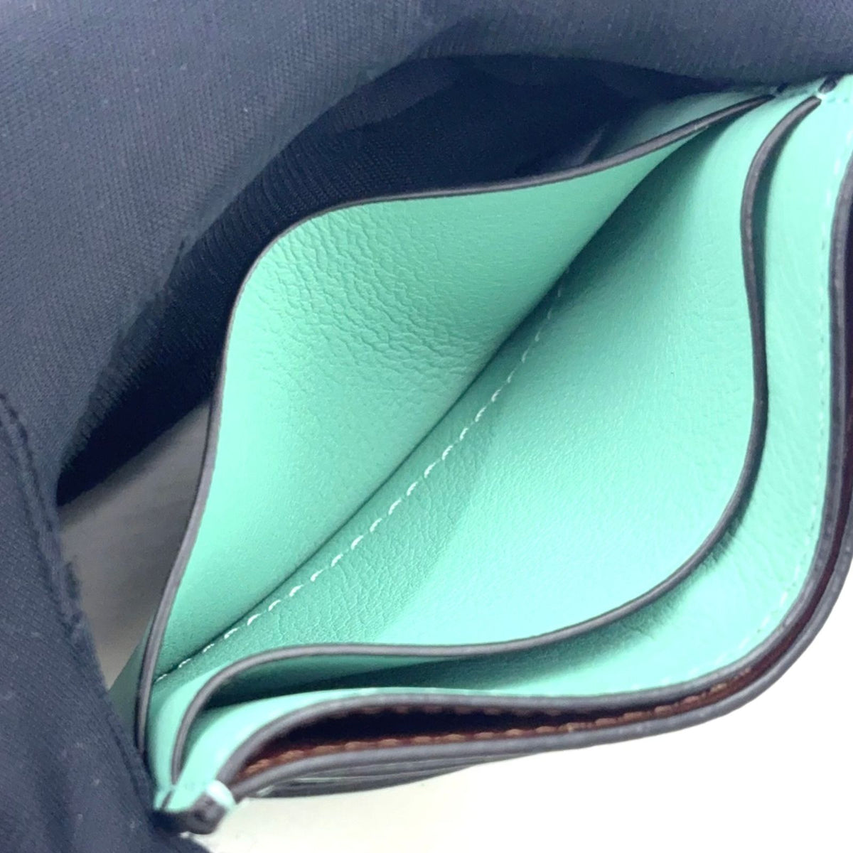 Loewe Suswatari Plain Leather Light Green Card Case — view 8