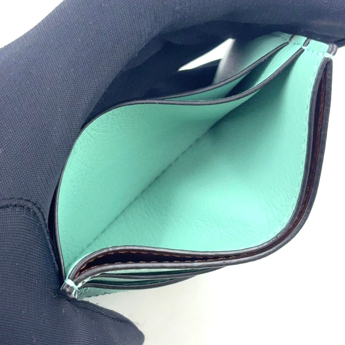 Loewe Suswatari Plain Leather Light Green Card Case — view 7