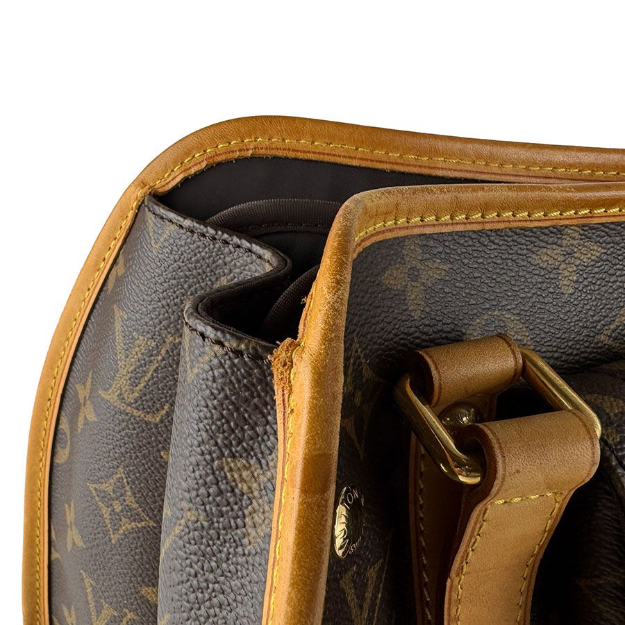 Louis Vuitton Pet Bag Pet Carrier Handbag Sac Baxter PM — view 7