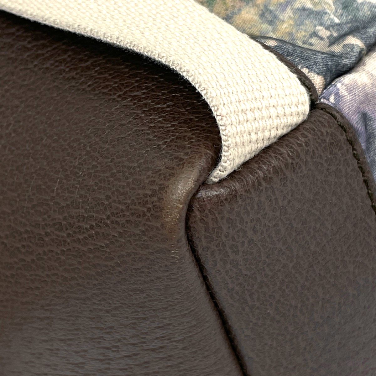Gucci Backpack North Face Collaboration Nylon Beige Multicolor — view 4