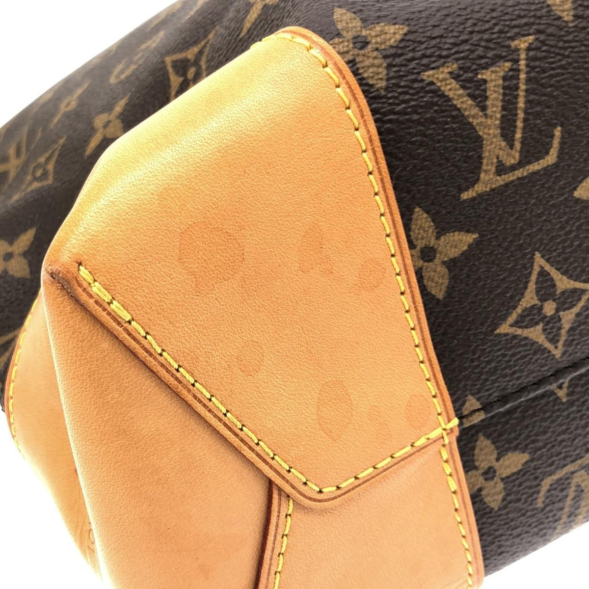 Louis Vuitton Monogram Berry PM Bag — view 3