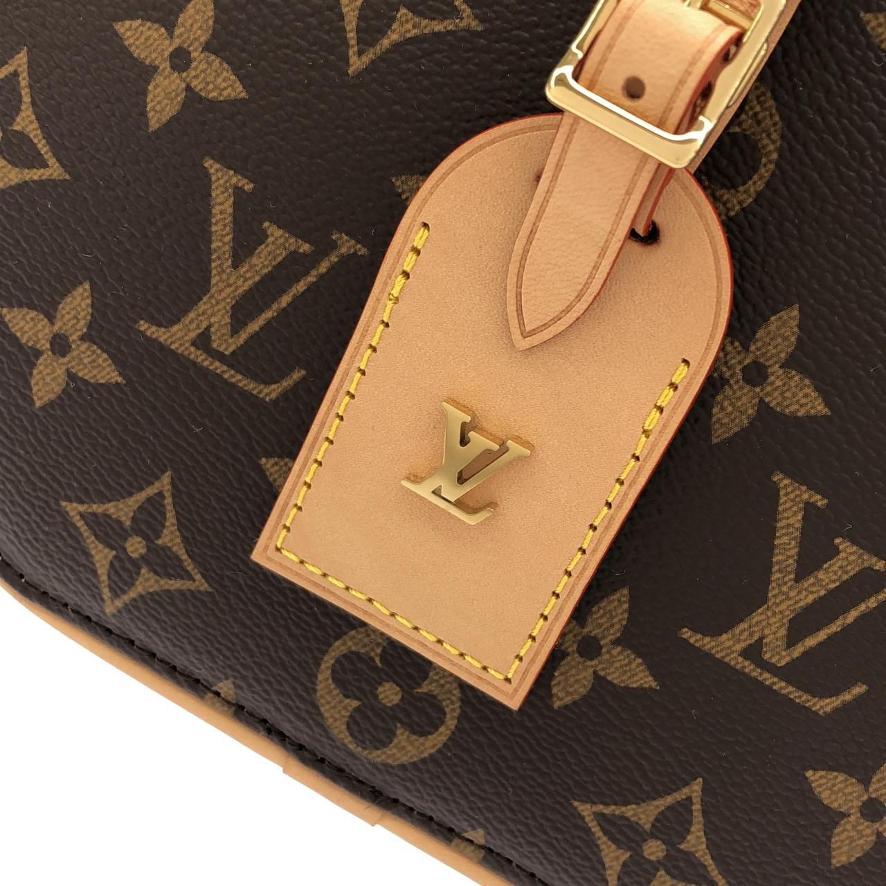 Louis Vuitton Monogram Around Me Shoulder Bag — view 5