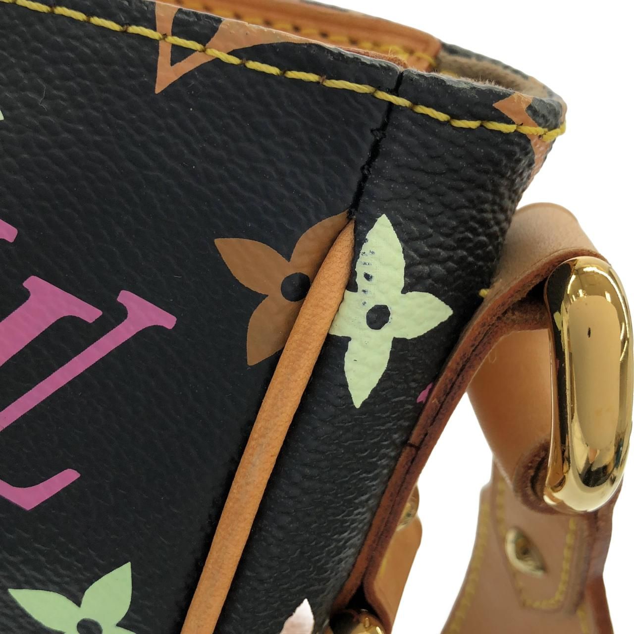 Louis Vuitton Multicolor Lodge GM Shoulder Bag — view 5