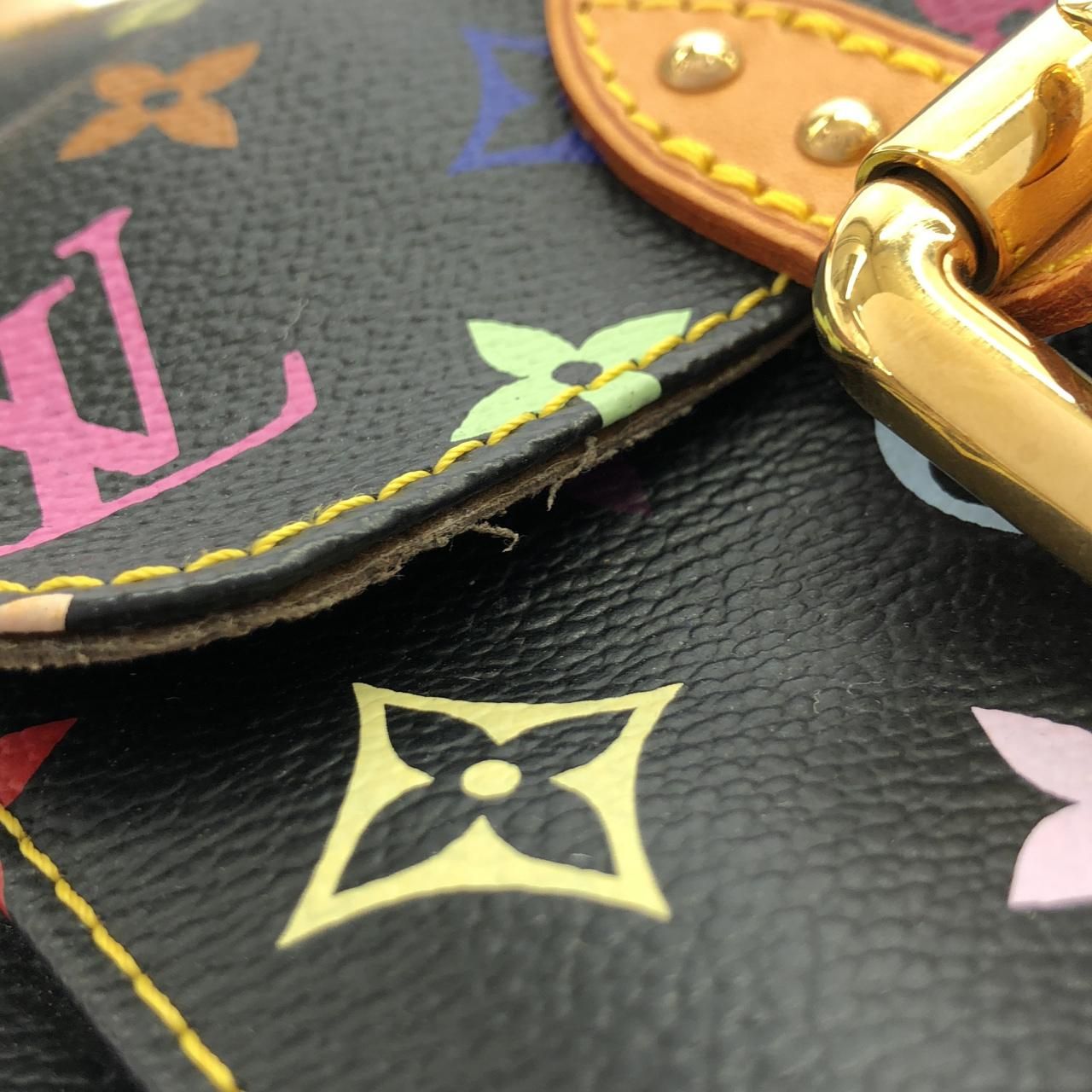 Louis Vuitton Multicolor Lodge GM Shoulder Bag — view 6