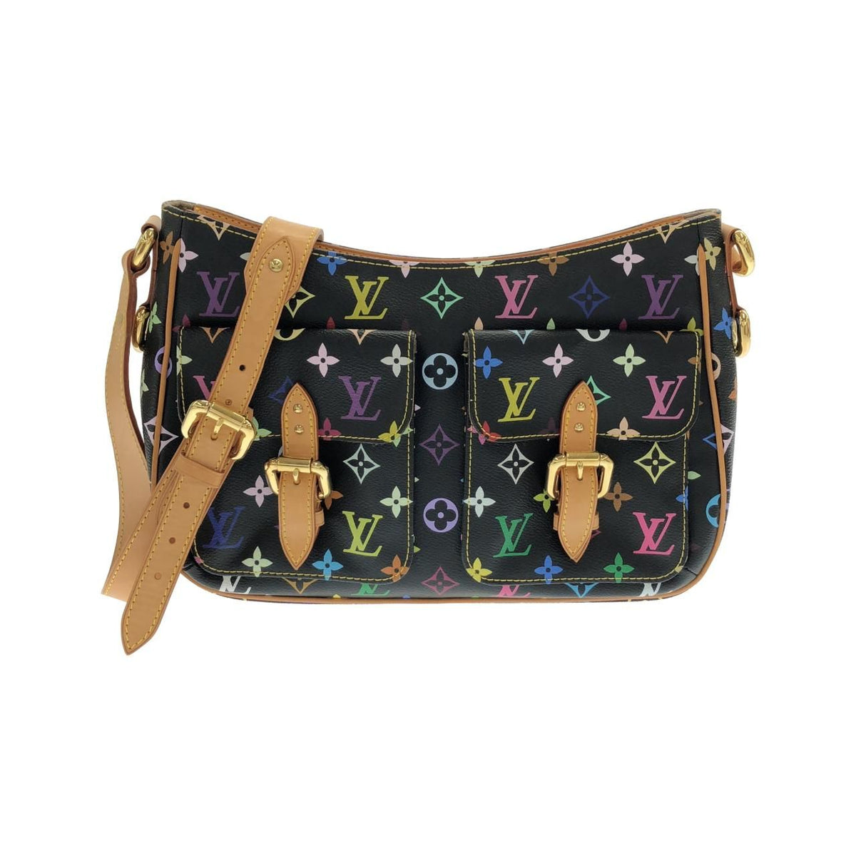 Louis Vuitton Multicolor Lodge GM Shoulder Bag