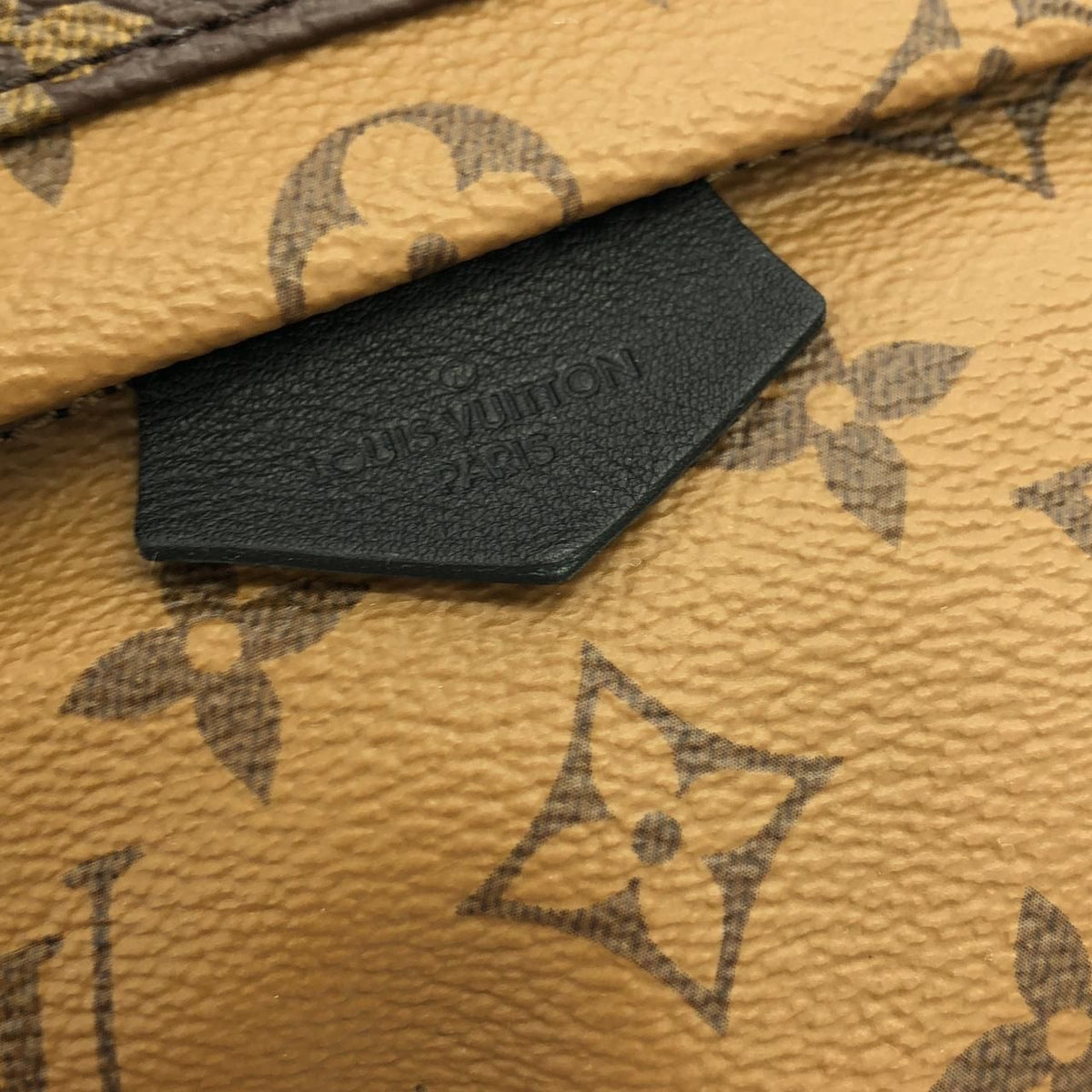 Louis Vuitton Monogram Reverse Palm Springs Backpack PM — view 4