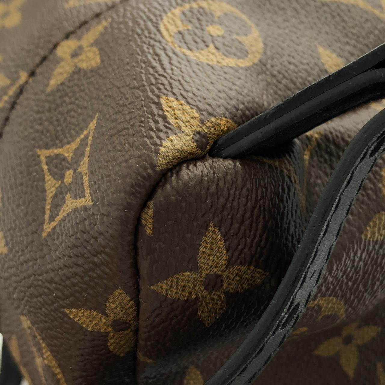 Louis Vuitton Monogram Reverse Palm Springs Backpack PM — view 3