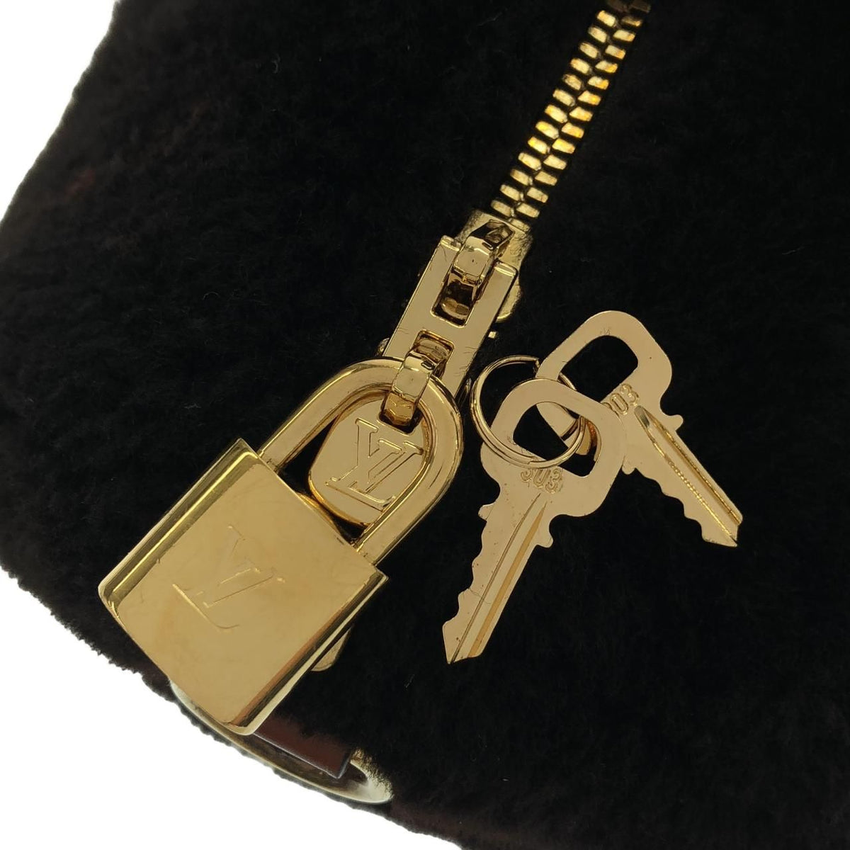 Louis Vuitton LV Ski Speedy Bandouliere 25 Boston Bag — view 4