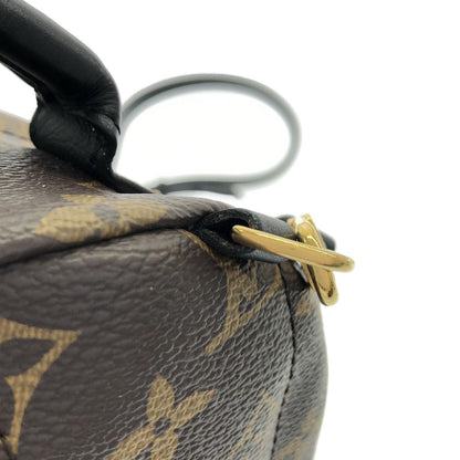 Louis Vuitton Monogram Palm Springs Backpack — view 6