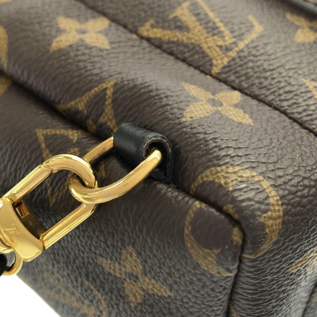 Louis Vuitton Monogram Palm Springs Backpack — view 5
