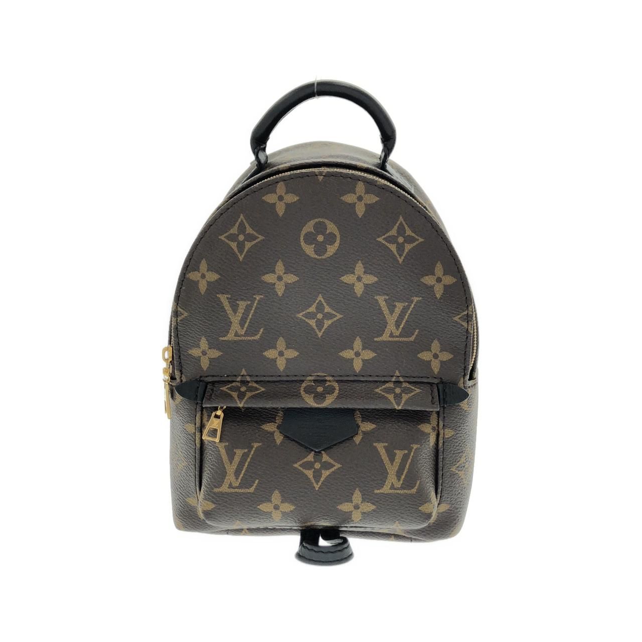 Louis Vuitton Monogram Palm Springs Backpack