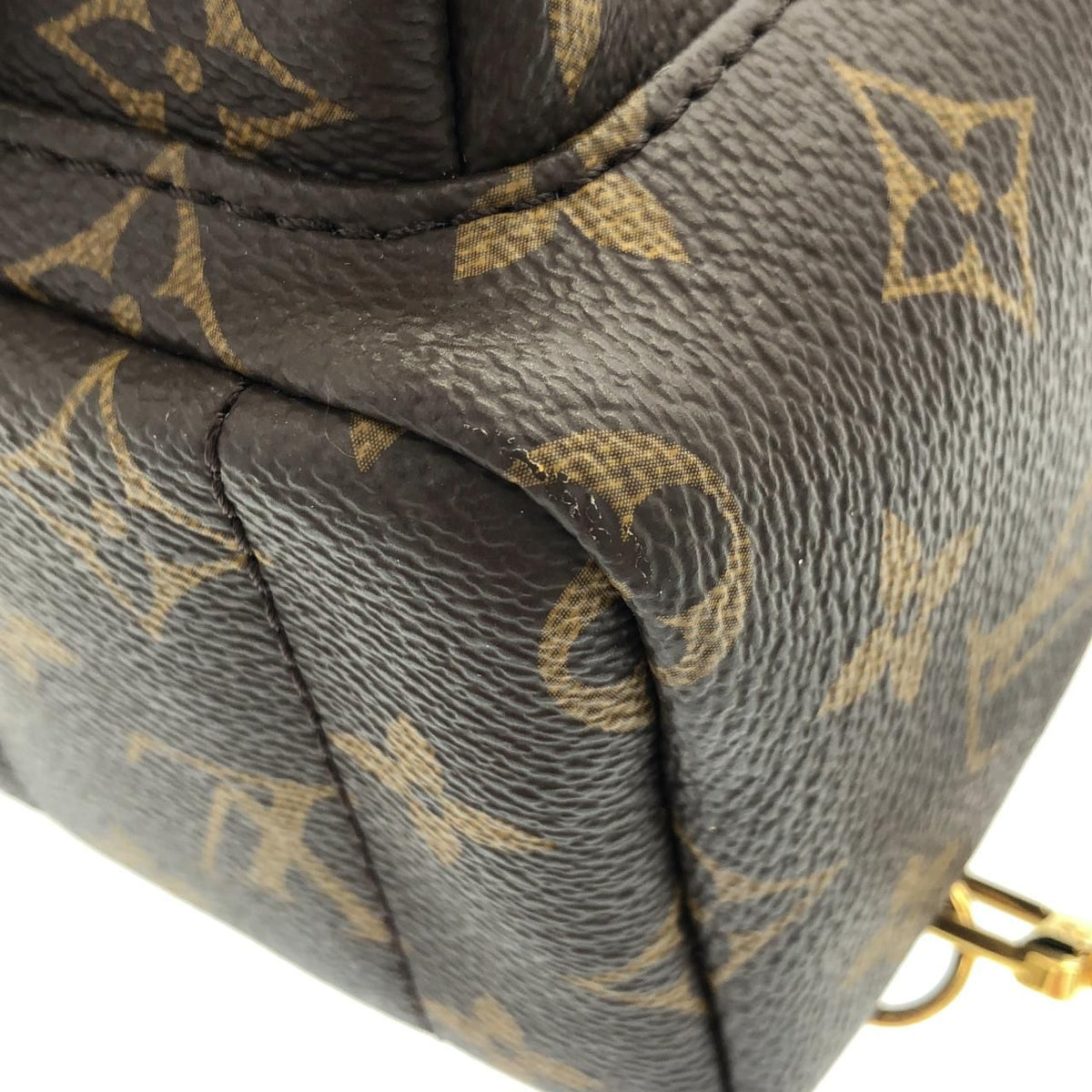 Louis Vuitton Monogram Palm Springs Backpack — view 3