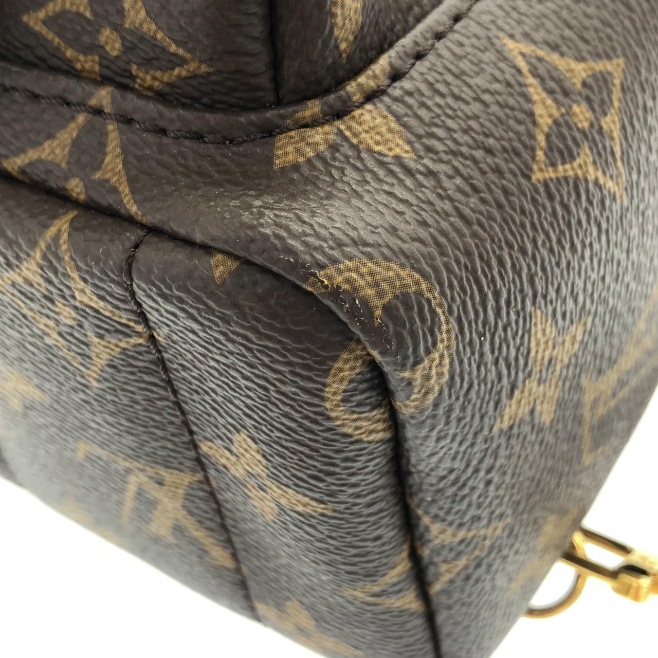 Louis Vuitton Monogram Palm Springs Backpack — view 3