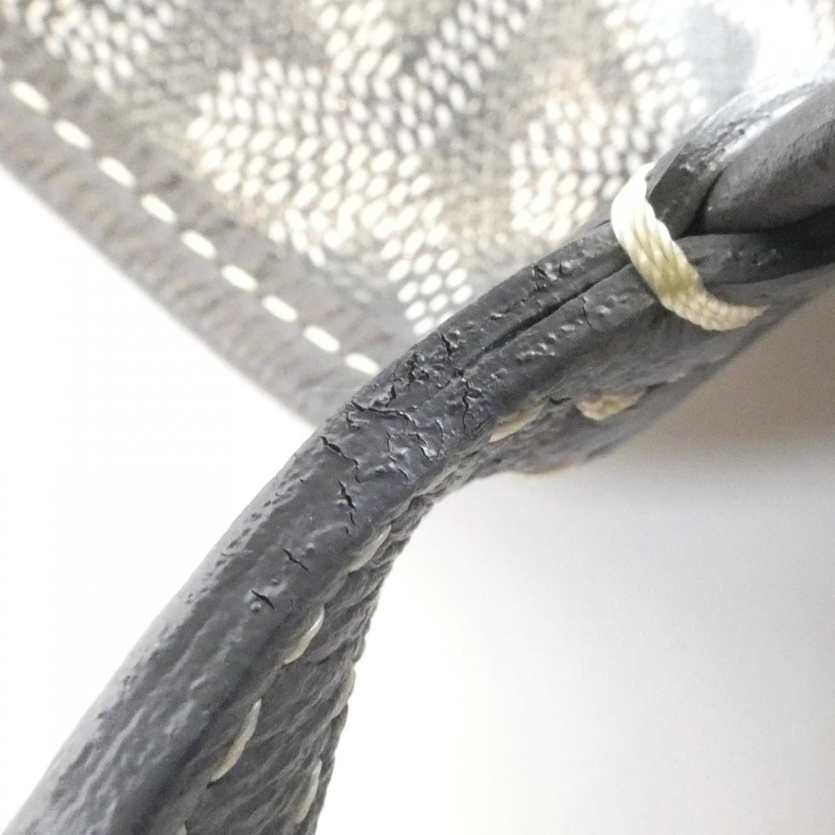 Goyard Saint Louis PM Ama Bag — view 5