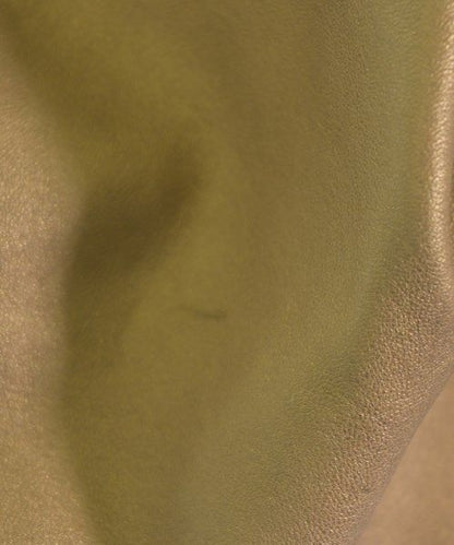 Loewe Handbag Gold — view 8