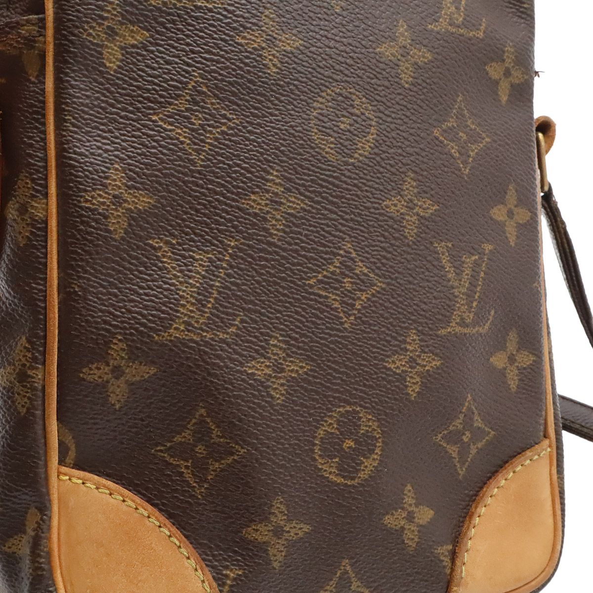 Louis Vuitton Monogram Amazon Shoulder Bag Pochette — view 6