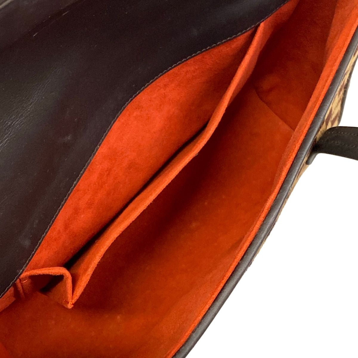Louis Vuitton Handbag Damier Sauvage Lion Leather — view 7