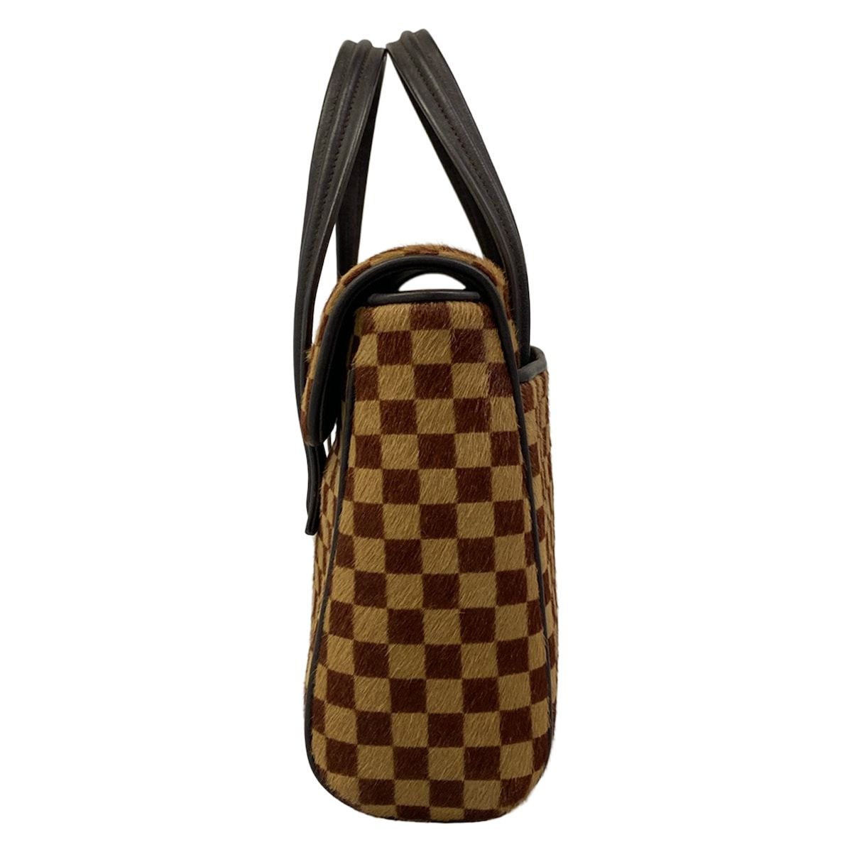 Louis Vuitton Handbag Damier Sauvage Lion Leather — view 4
