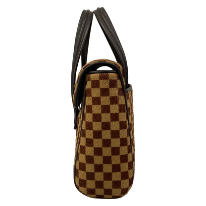 Louis Vuitton Handbag Damier Sauvage Lion Leather — view 4