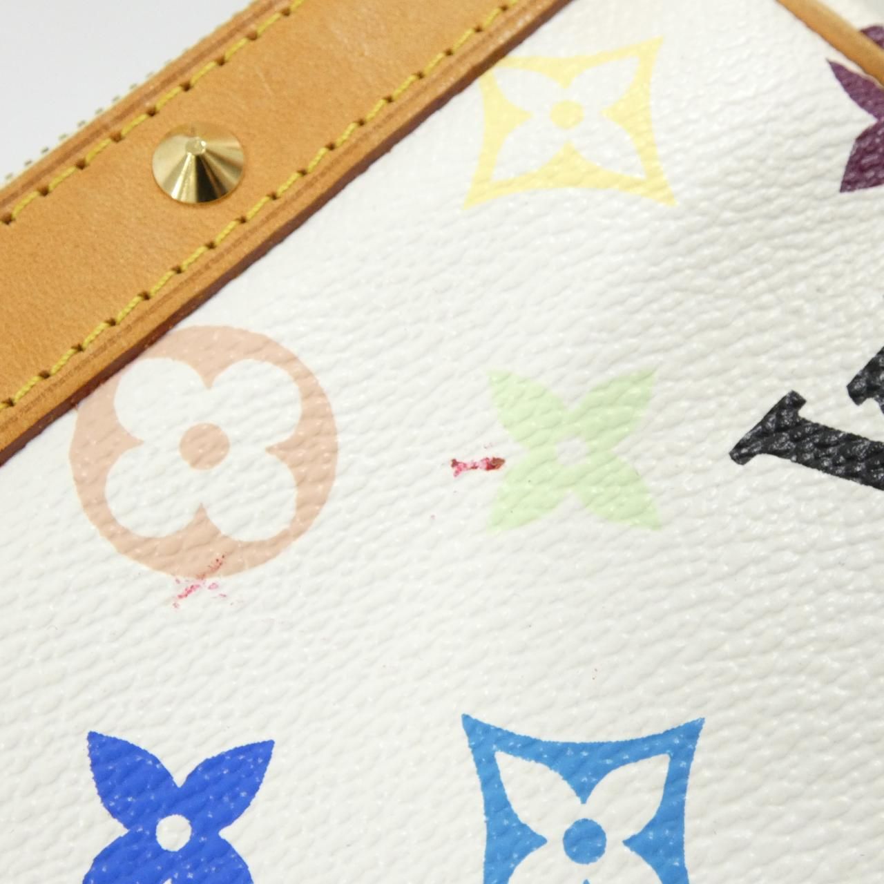Louis Vuitton Multicolor Pochette Accessoires Pouch — view 5