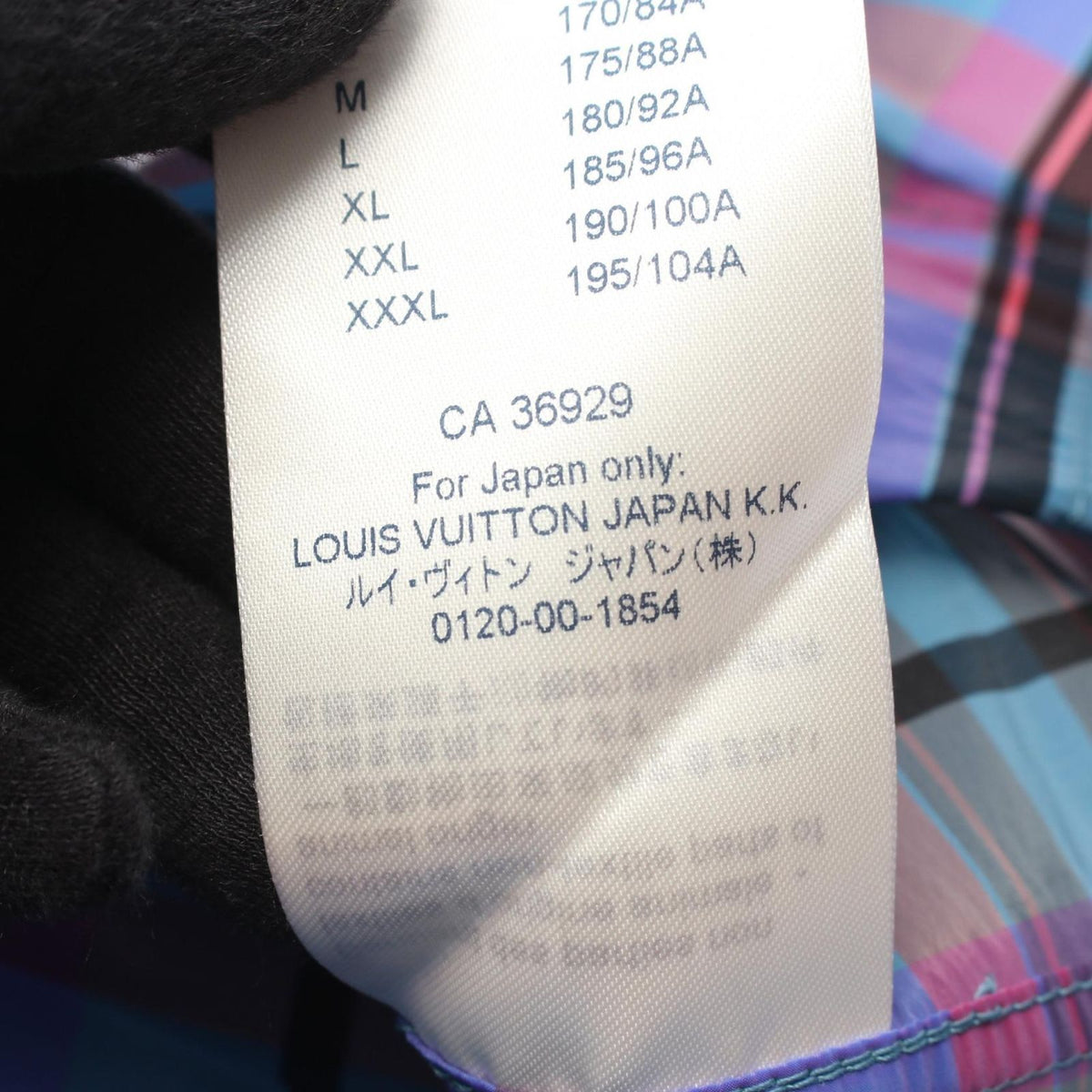 Louis Vuitton Nylon Jacket Backpack Detail Check — view 5