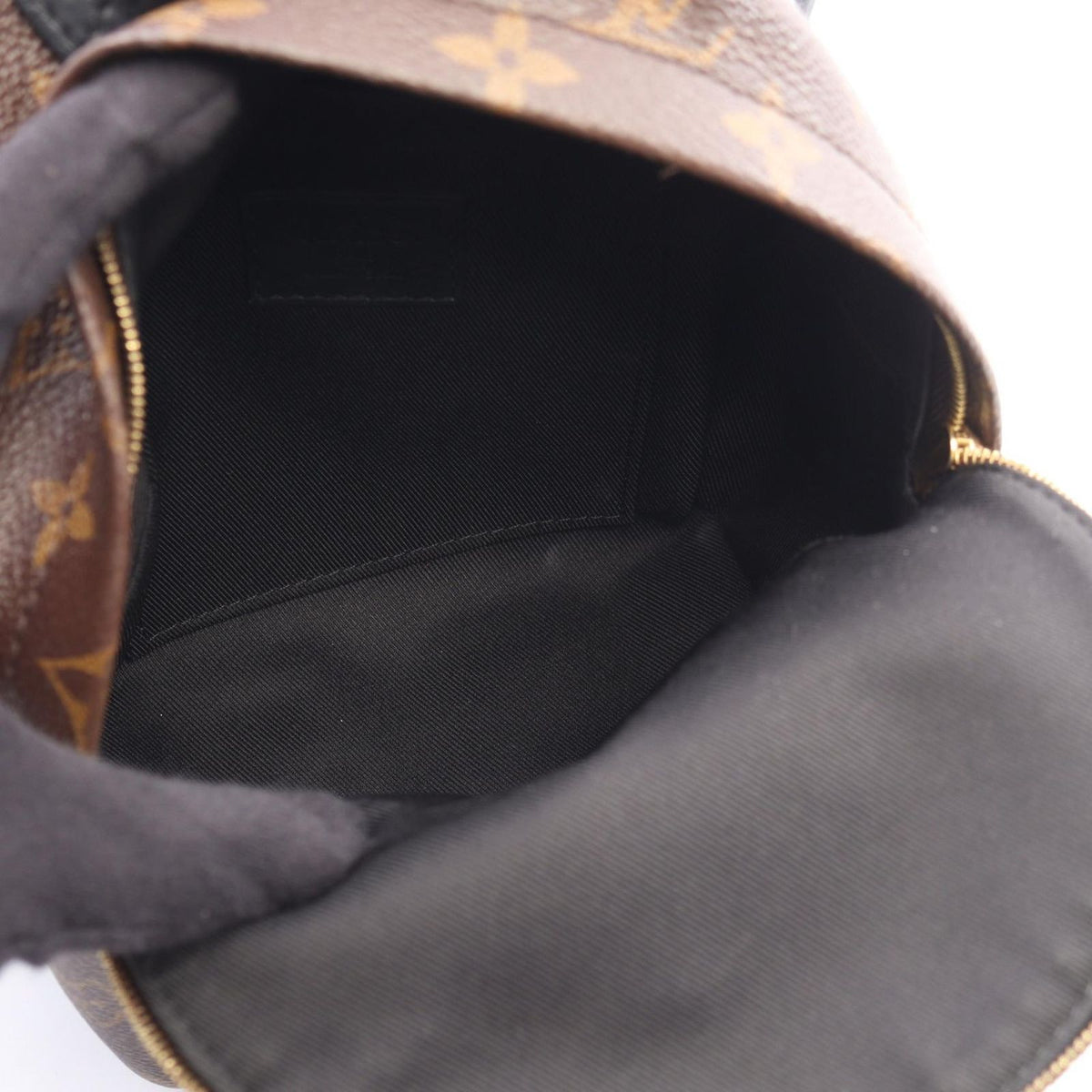 Louis Vuitton Backpack Palm Springs Mini Monogram Leather — view 3