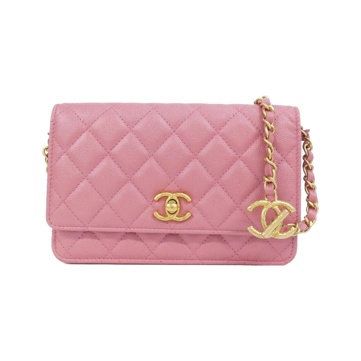 Chanel Chain Wallet Shoulder Bag