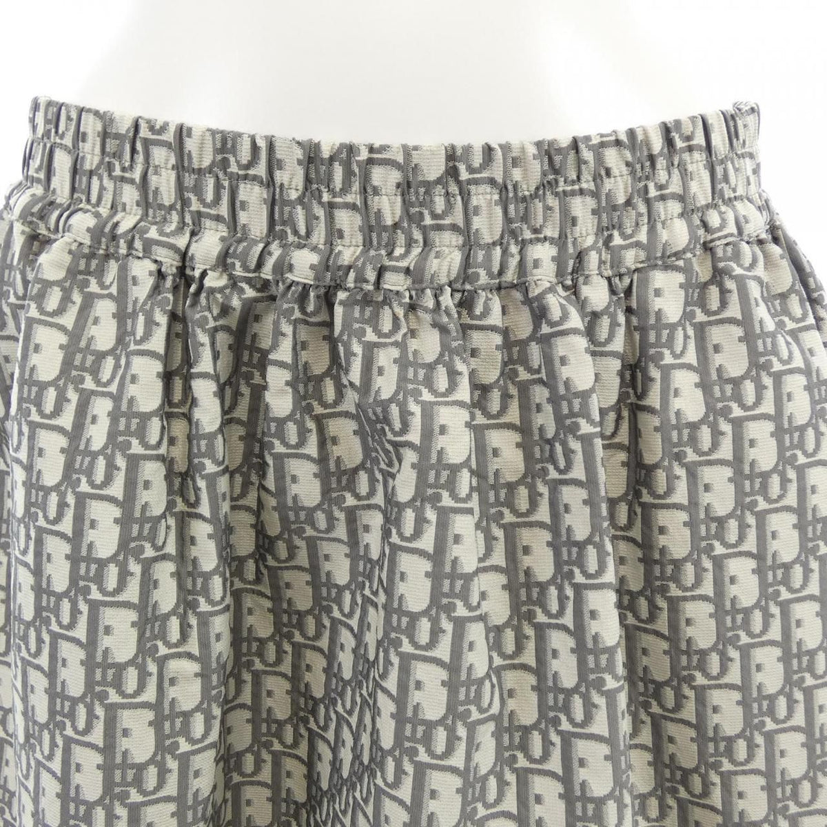 Dior Oblique Technical Taffeta Skirt — view 5