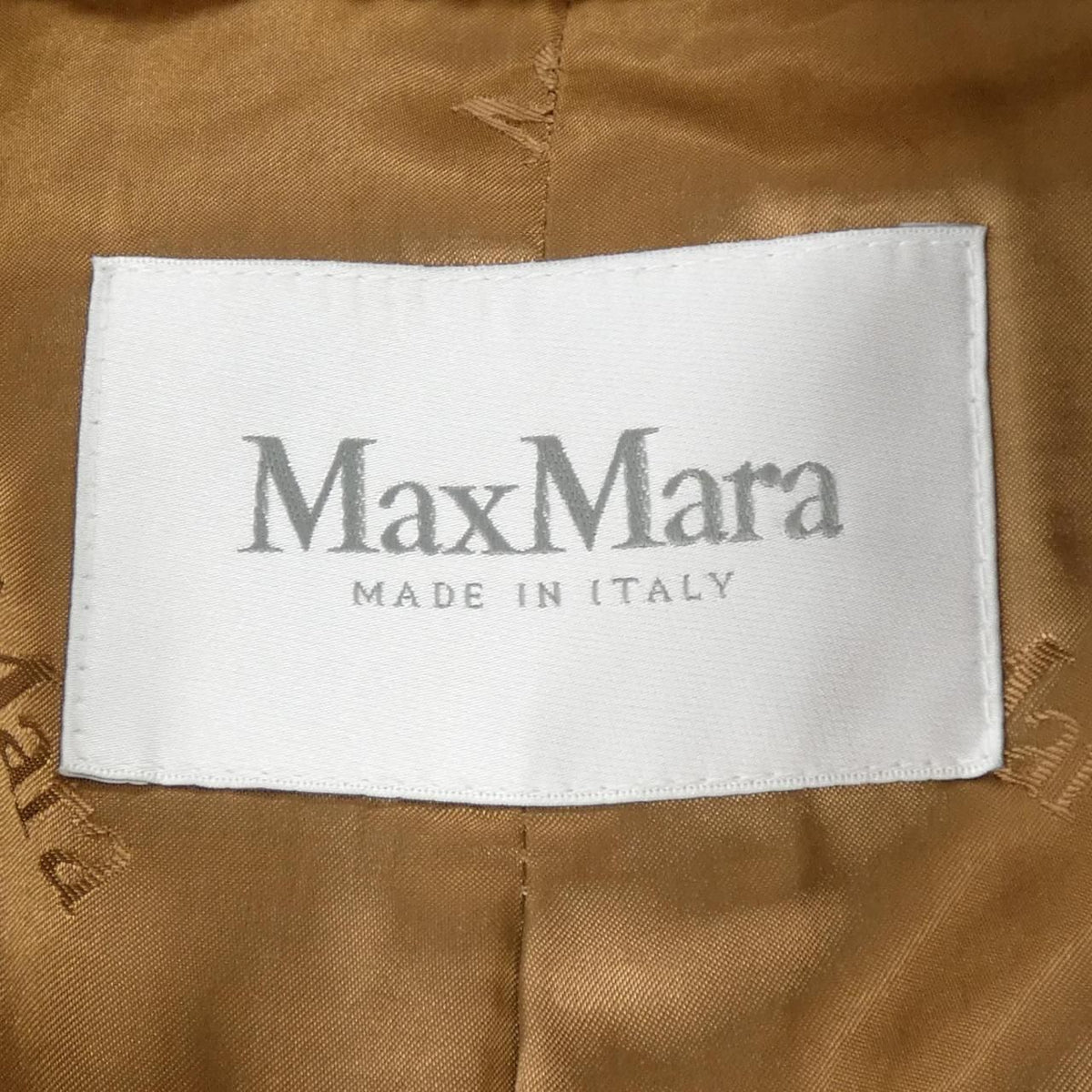 Max Mara Teddy Bear Coat — view 4