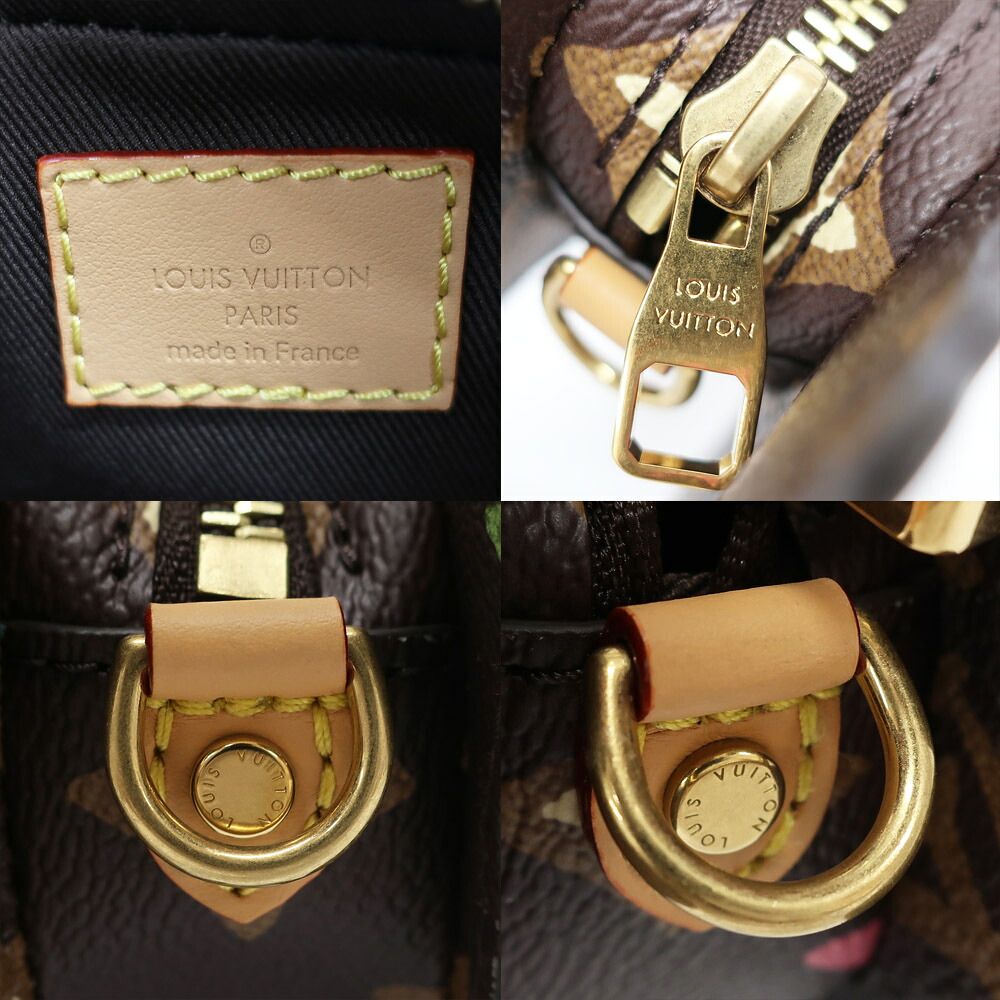 Louis Vuitton Monogram Craggy Dog on Strap Shoulder Bag Brown Gold Leather — view 6