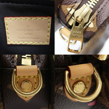 Louis Vuitton Monogram Craggy Dog on Strap Shoulder Bag Brown Gold Leather — view 6