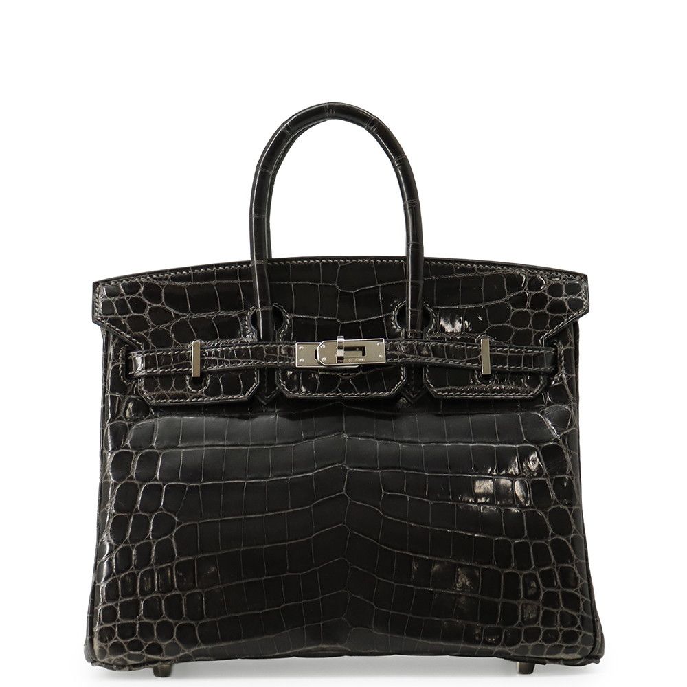 Hermes Birkin 25 Graphite Silver Niloticus Shine Handbag