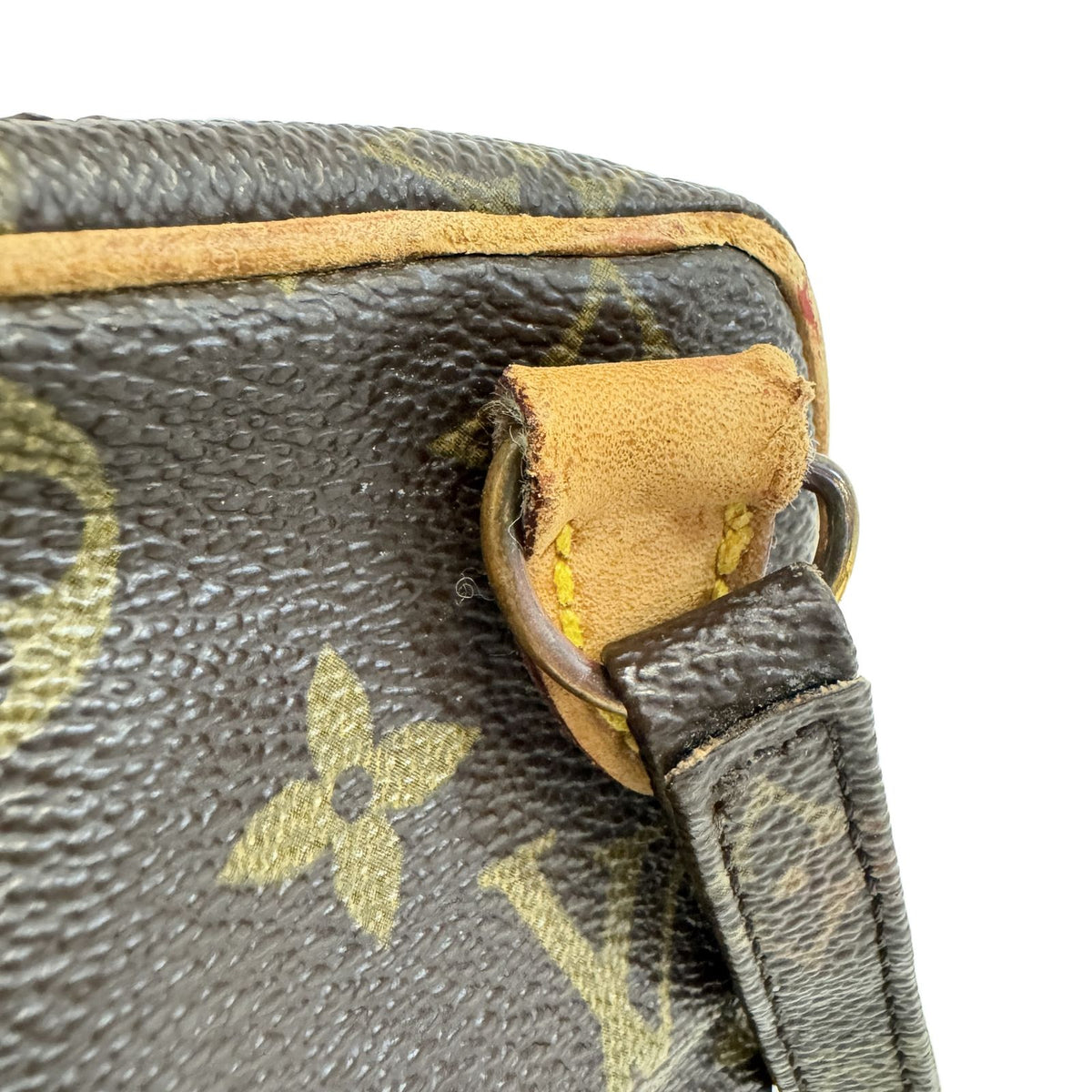 Louis Vuitton Mini Amazon Monogram Canvas Brown — view 6