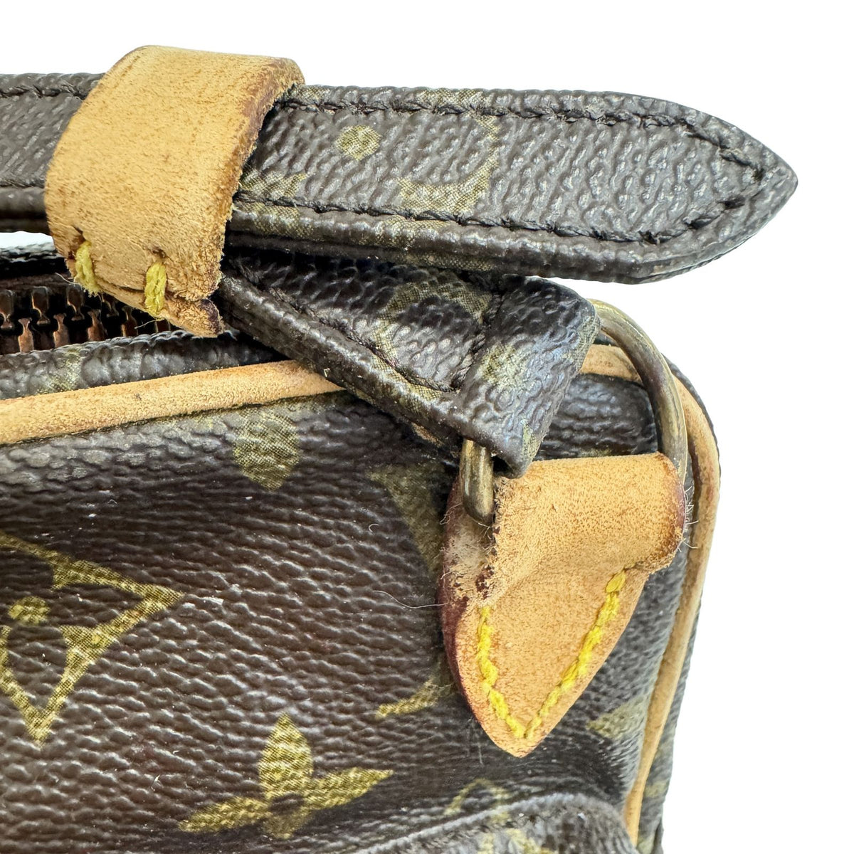 Louis Vuitton Mini Amazon Monogram Canvas Brown — view 5