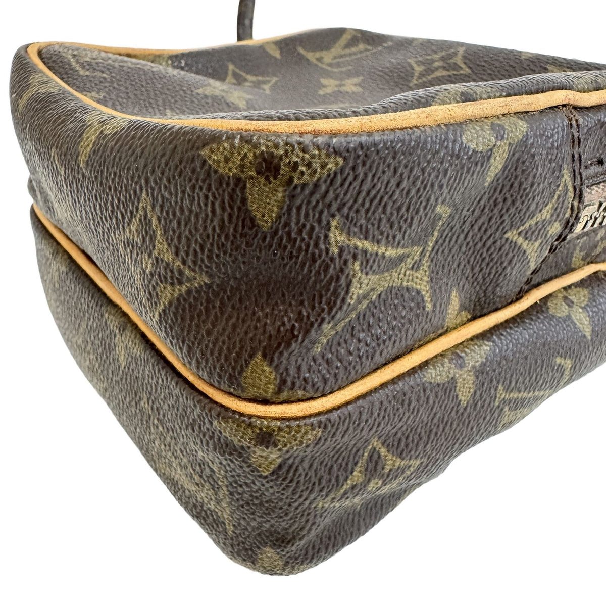 Louis Vuitton Mini Amazon Monogram Canvas Brown — view 3