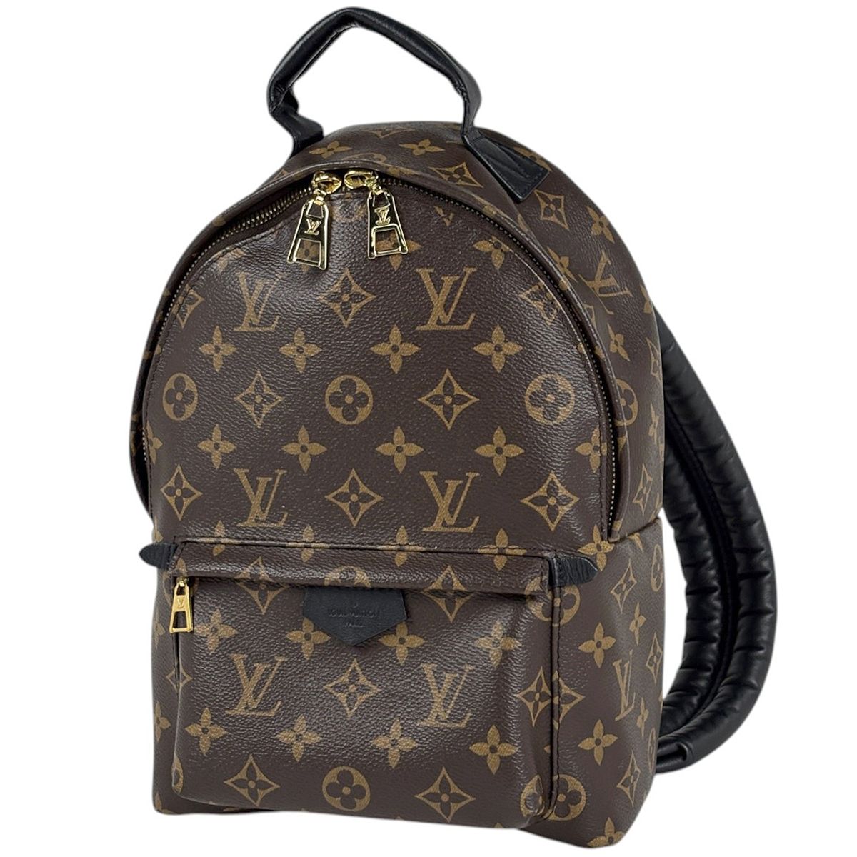 Louis Vuitton Palm Springs Backpack PM Monogram Brown